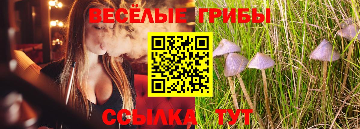 Галлюциногенные грибы прущие грибы Гай