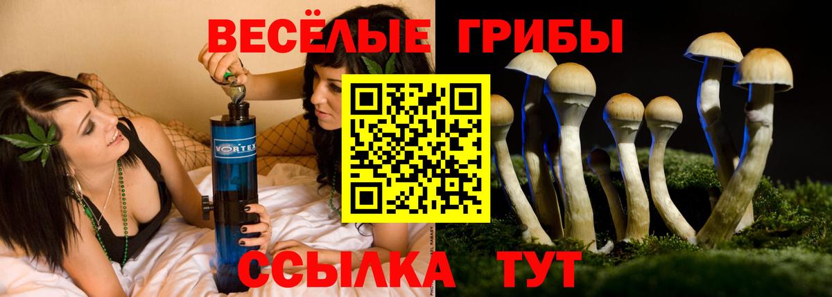 Гай  Галлюциногенные грибы Magic Shrooms  где купить   Вход с VPN 